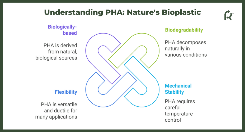 Understanding PHA_ Nature's Bioplastic