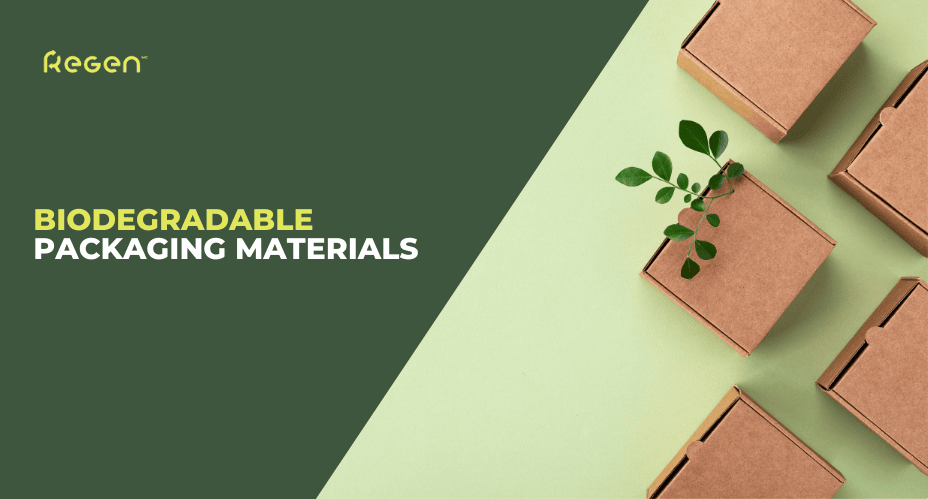 Top Biodegradable Packaging Materials For Eco-Conscious Brands