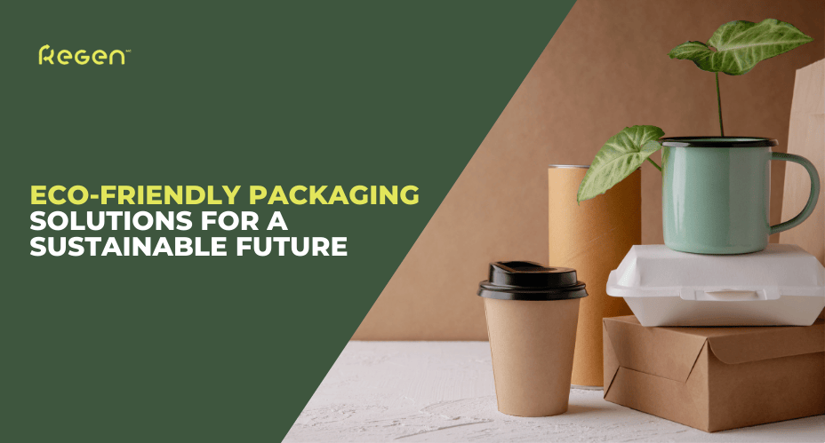 Eco-Friendly Packaging Solutions