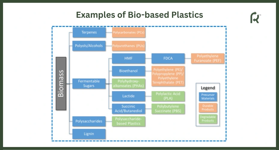 Bio-based Plastics Examples 