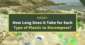 plastic decompose time