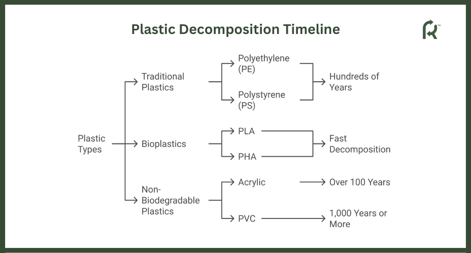 Plastic Decomposition Timeline