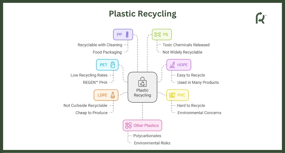 Plastic Recycling