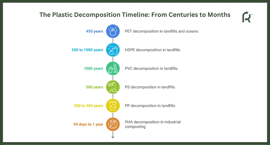 Timeline of Plastic Decomposition 