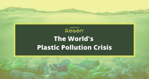 Plastic Pollution Crisis