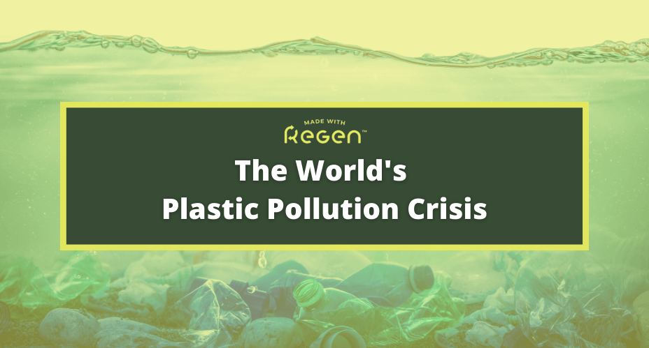 Plastic Pollution Crisis