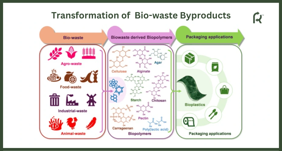 Transformation of Bio-waste Byproducts