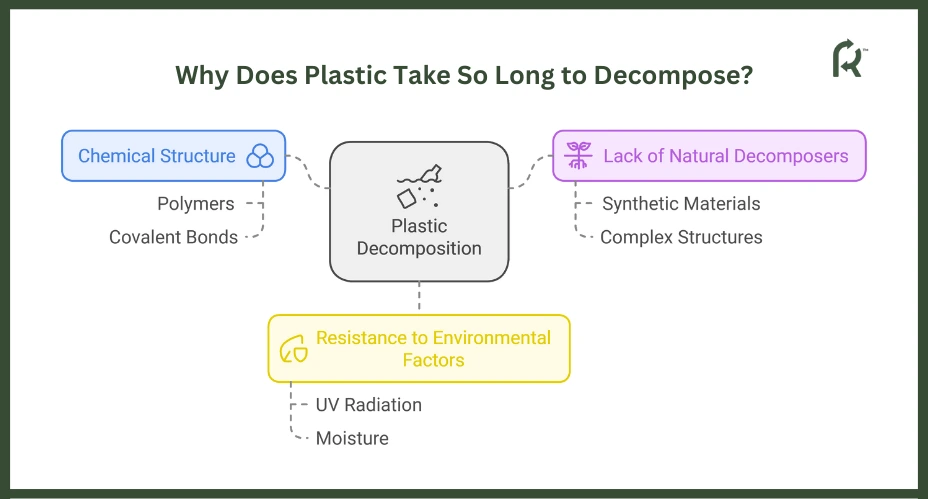 Why Does Plastic Take So Long to Decompose